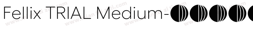Fellix TRIAL Medium字体转换